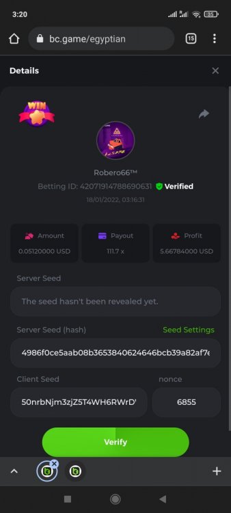 Screenshot_2022-01-18-03-20-27-181_com.android.chrome.jpg